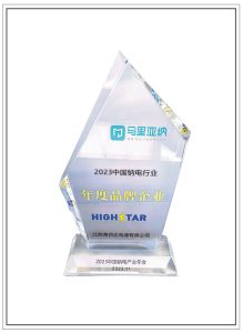 2023 Annual Brand Enterprise In Chinas Sodium Electricity Industry 219x300