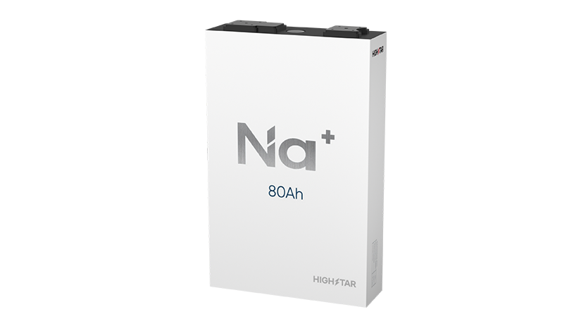 Prismatic Sodium Ion Cell 3