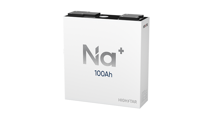 Prismatic Sodium Ion Cell 4